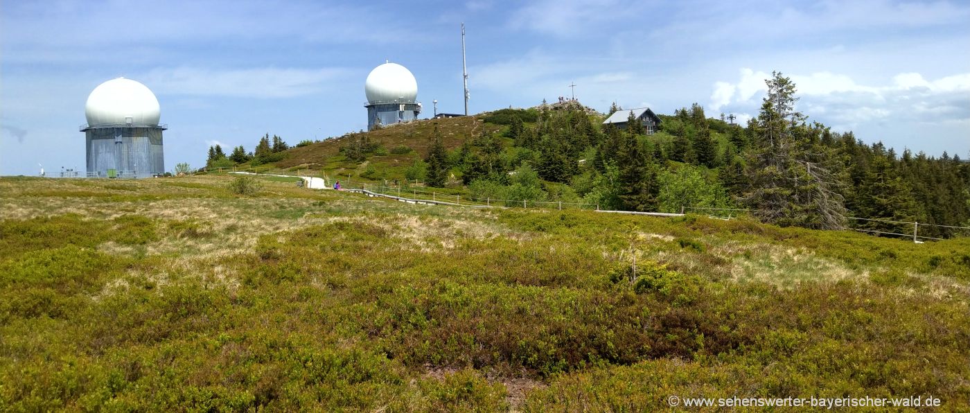 arber-wanderung-grosser-berg-gipfel-bayerischer-wald-highlights